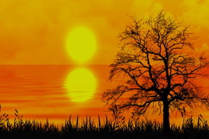 Tajemné období Slunovratu – jak využít jeho mocnou energii?